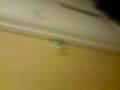 videos de Bath Accident (rhianna n jazz)