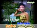 telaga remis iwi s