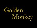 GoldenMonkeySoloAction1 GoldenMonkeySoloAction1