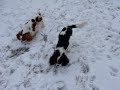 Flitzen im Schnee