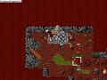 Tibia Pk