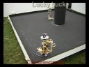 Duelo de Cowbots Duelo de Cowbots