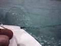 Laser Sailing Italy - Capsize e pretty good speed - Fano