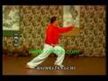 Li DeYin Tai Chi Boxing 24 Forms KF583 coohk