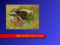 Spooz PSA - Food