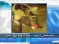 Torture in the streets of Khorramabad Iran