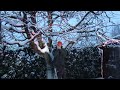 Snow Falls Over The Trees-Leise rieselt der Schnee Harmonica