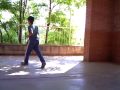 gato vs juguete