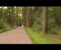 Rit door het bos