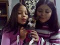 Perla, Sofi y Titi