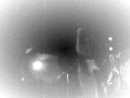 bone machine -Elia Kazan-