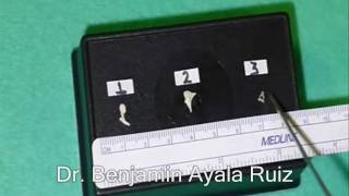 Benjamin Antonio Ayala Ruiz-40