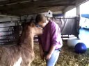 Angel giving Melissa kisses 050708