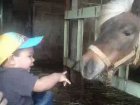 Roger John William Mellen Junior