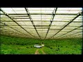 BBC: Radio Telescope Biggest Ear in the World - Most of Our Universe is Missing