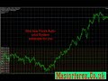 currency trading tips