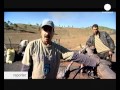 Voir la Vidéo