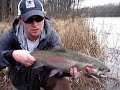 Fly Fishing: Steelhead New York Tributaries Fly Fishing: Steelhead New York Tributaries