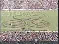 Pride of Oklahoma 1986 Halftime Show - Sr Day