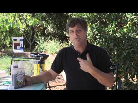 how to fertilize with urea