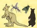 Lets Compare Canada and Australia Lets Compare Canada and Australia