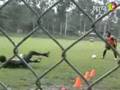 René Higuita, El gran arquero colombiano