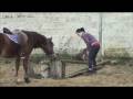 videos de Redford sponté