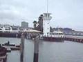 fisherman 's wharf s.francisco pier 39 sea lions