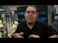 Pet-Birds-How-to-Tea