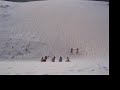 Las caliguay se tiran por las dunas de Valdevaqueros