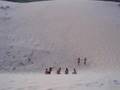 Las caliguay se tiran por las dunas de Valdevaqueros