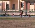 200m piani potenza 15 settembre 2007