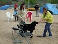 Seminario Habilidades Caninas \"Lealcan\"