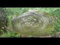 AVDUREK (GÖKDERE) PALU -- KÖYÜ AVDUREK (GÖKDERE) PALU -- KÖYÜ