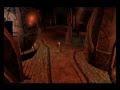 Neverun - Continente Faerun