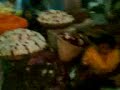K.R Market