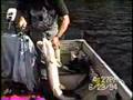 Musky Tom Wehler Pike Bite