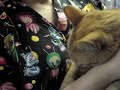 Marquette County Humane Society - Macorini