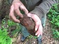 German messtins and canteens found on a wwII battlefield.