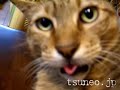 ツネオの止め手！