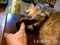 ツネオの止め手！