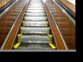 Department Store Escalators