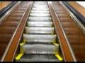 Department Store Escalators