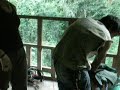 The tree house