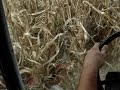 Fiatagri Laverda 3550 con barra da mais 5 file - On board