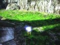 Top 10 Halo 3 Sticks