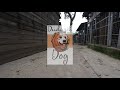 Собаки в добрые руки - Тирион Ланнистер - 0