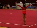 performance 
hubei gymnastic team in 2008 hk yuenlong sports festival