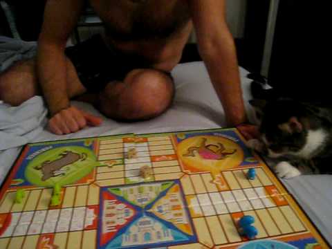 parcheesi