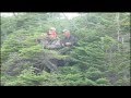 huntingclub.com-Moose on the loose
